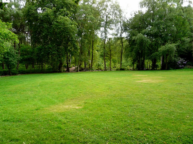 Butler Campsite