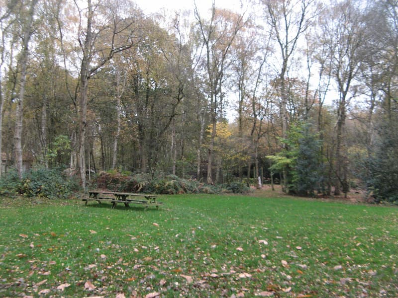 Badger Campsite