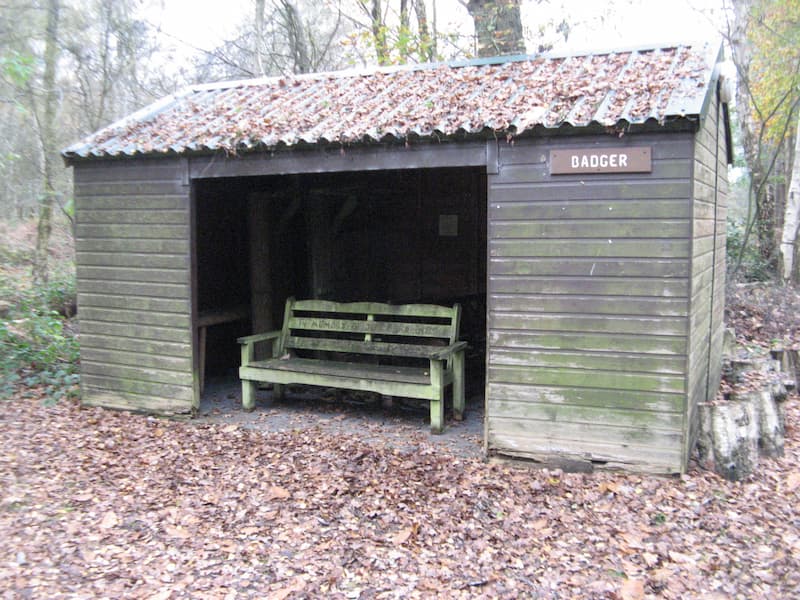 Badger Campsite