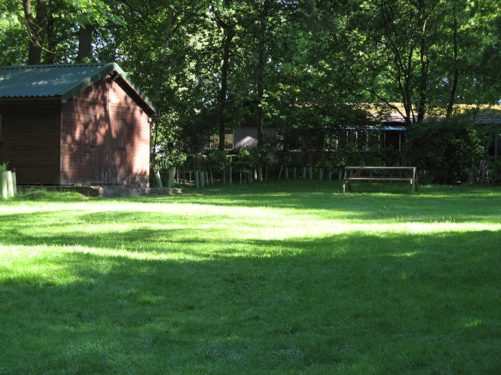 Greenhouse site 2