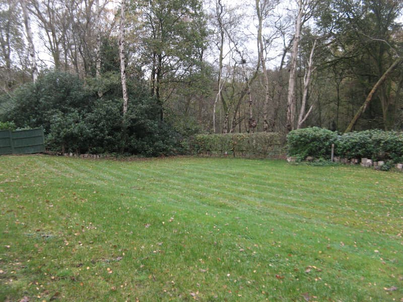 Willow Campsite